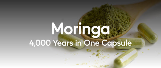 Moringa: 4,000 Years in One Capsule - Nutra Nourished