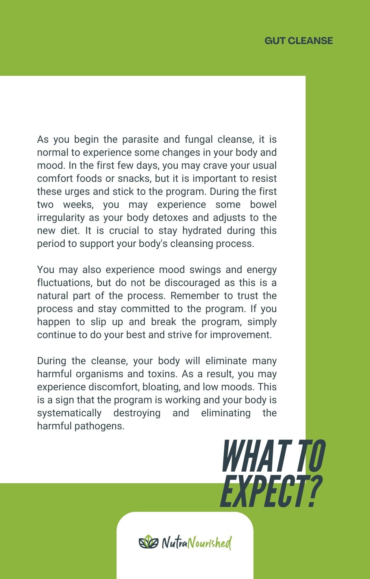 Yellow Green Parasite & Fungal Gut Cleanse - PDF Book