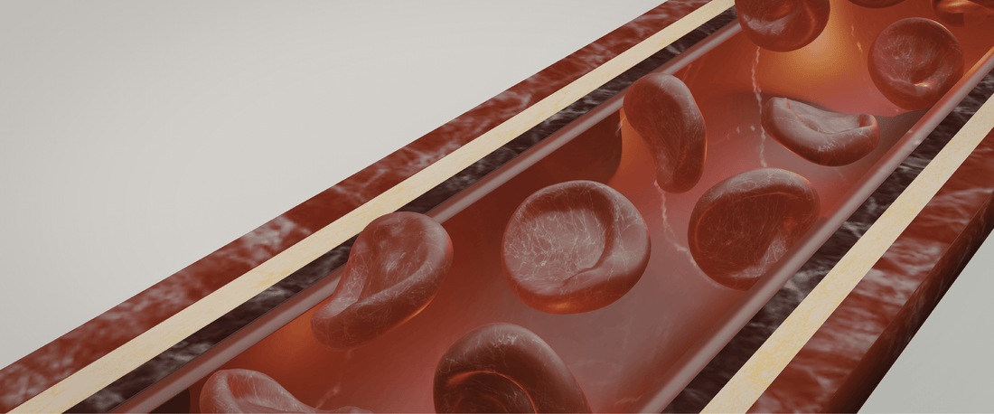 👀 5 Signs Your Blood Flow Might Need Attention - Nutra Nourished