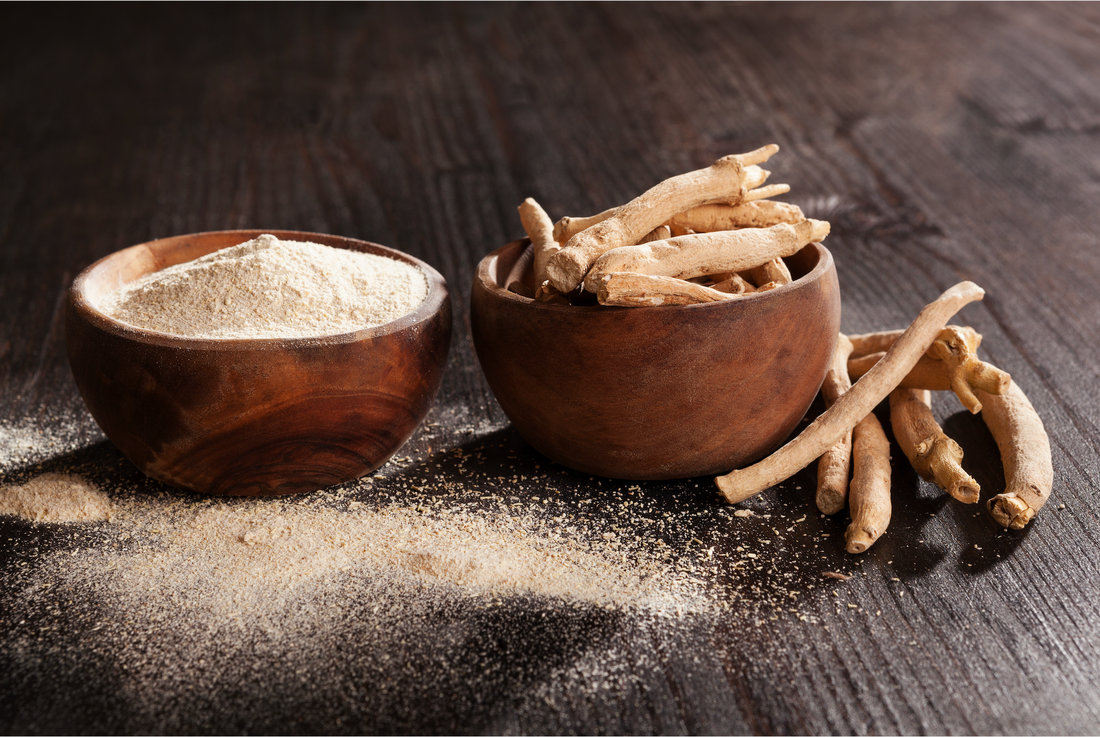 How Ashwagandha Can Help Combat Stress and Aging