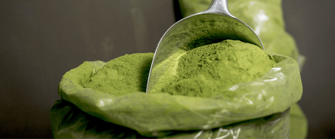 Are Green Powders Actually Worth It? - Nutra Nourished