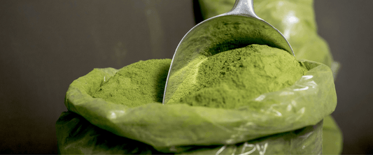 Are Green Powders Actually Worth It? - Nutra Nourished