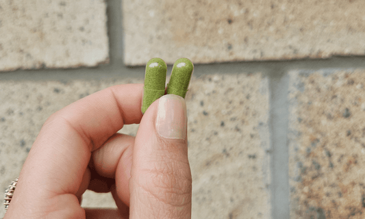Is it Important To Bring Supplements During Travel? - Nutra Nourished