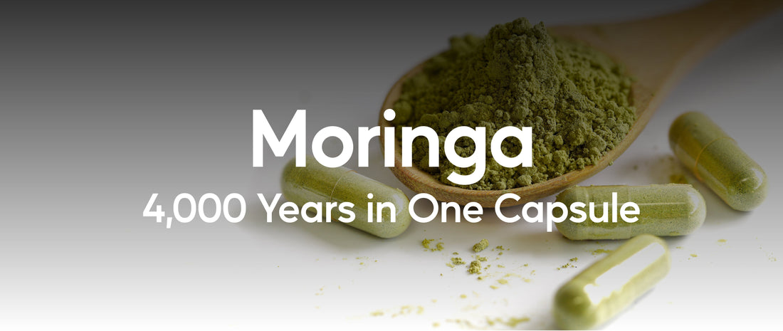 Moringa: 4,000 Years in One Capsule - Nutra Nourished