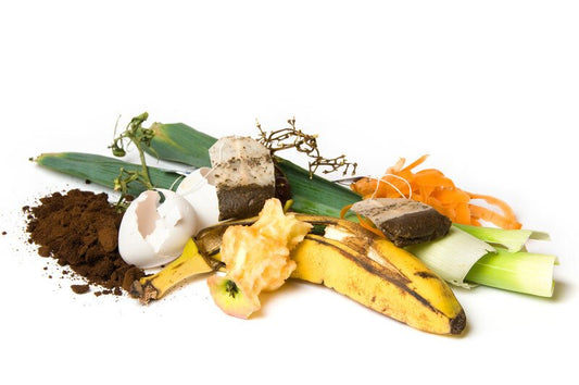 Saving$$ by helping the environment - Could you be helping out future generations and yourself with this money saving trick? - Nutra Nourished