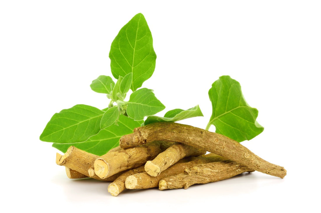 The research: testosterone and ashwagandha