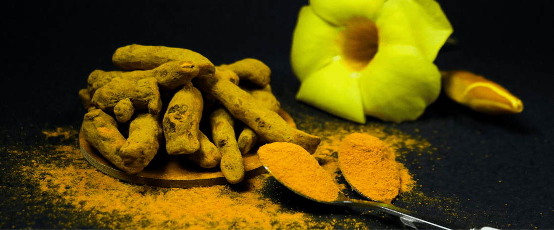 Why Is Turmeric So Yellow? - Nutra Nourished