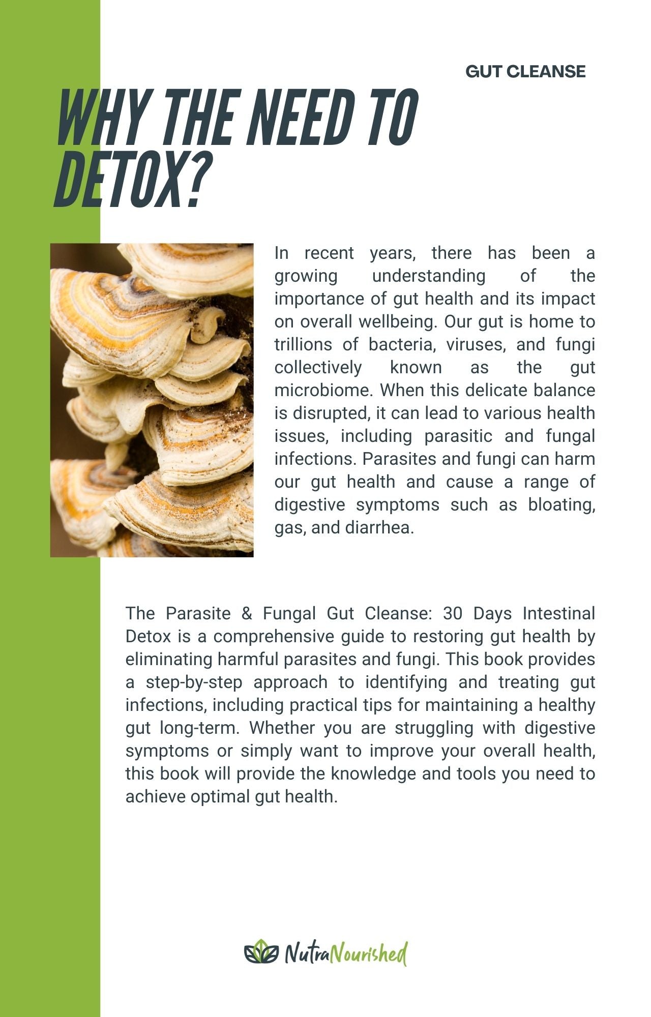 Yellow Green PARASITE & FUNGAL GUT CLEANSE: 30 Days Intestinal Detox - Start Your Detox Journey Now - PDF Book