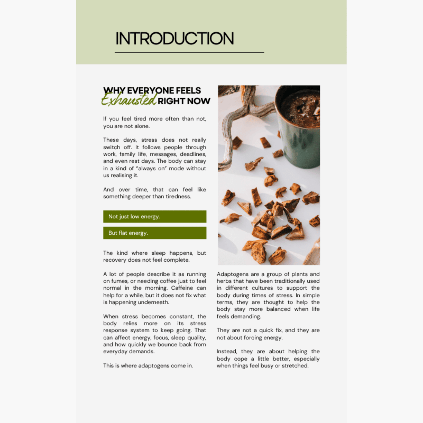 The Busy Person's Guide to Adaptogens - PDF Book