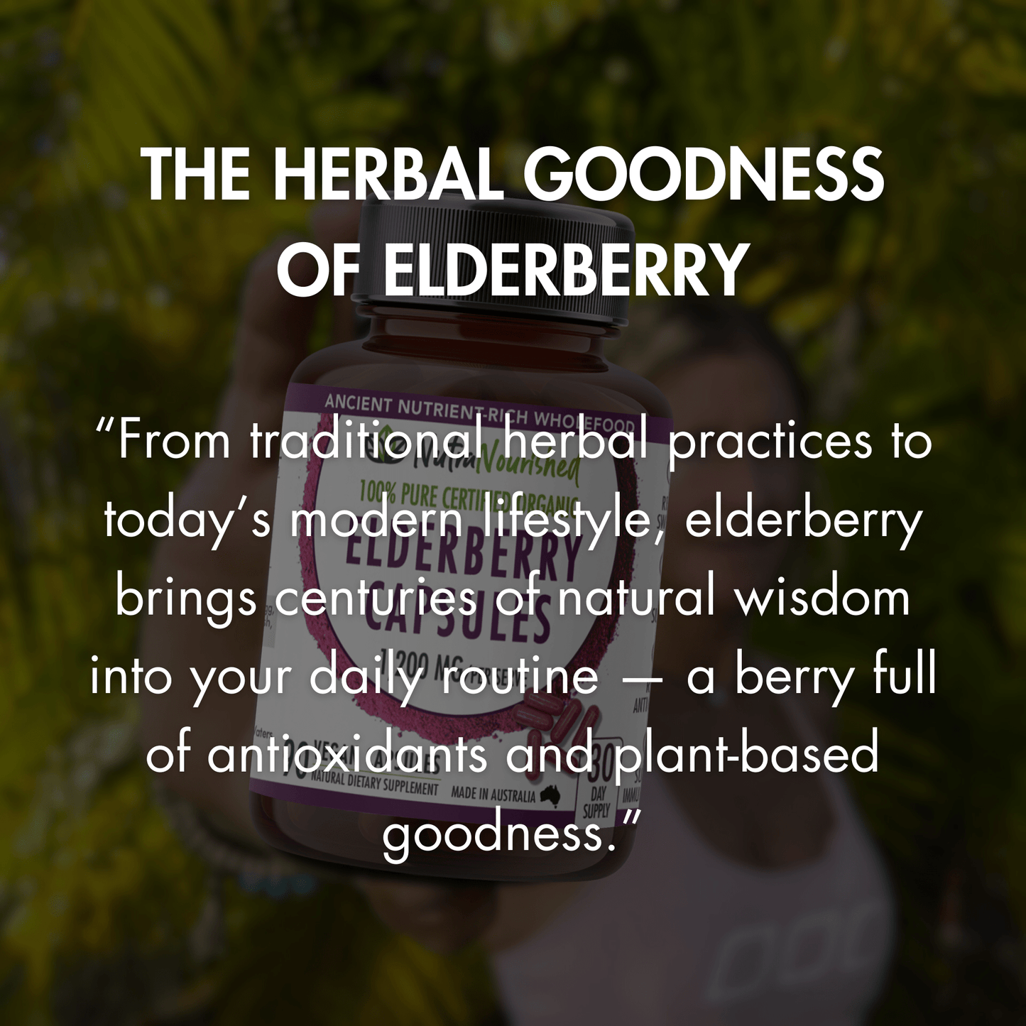 Elderberry Capsules Dietary Supplement Nutra Nourished ELDERBERRY_CAPS_90