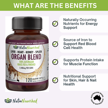 Dark Slate Gray Organ Blend Capsules | Liver, Heart, Kidney, Spleen | Organic Australian Grass-Fed Beef