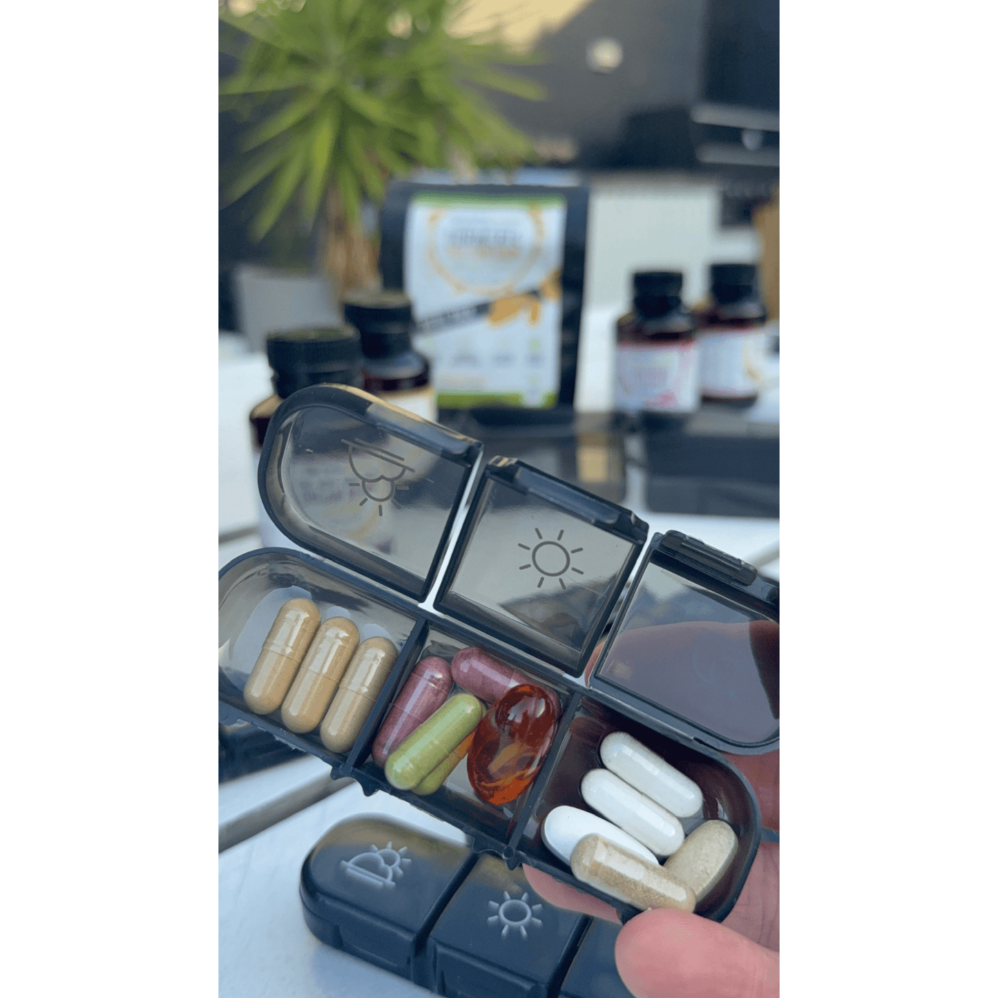 Dark Slate Gray Capsule Container with 7-Day Organiser Storage