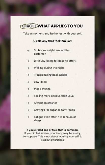 Seashell Supporting Wellbeing After 35 - PDF Book