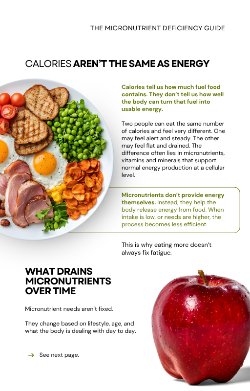 Why You’re Still Tired (Even When You Sleep) - PDF Book ebook Nutra Nourished MICRONUTRIENT_EBOOK