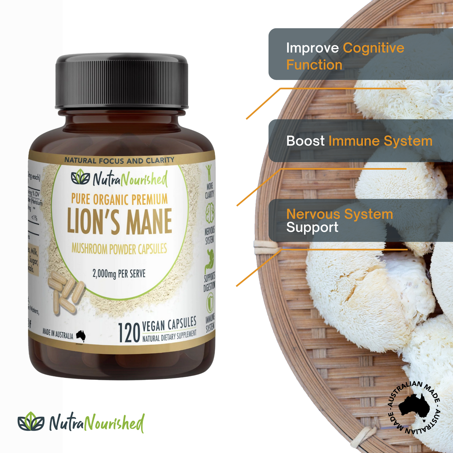 Slate Gray Lion's Mane Mushroom Hericium erinaceus (2,000mg) 120 Vegan Capsules