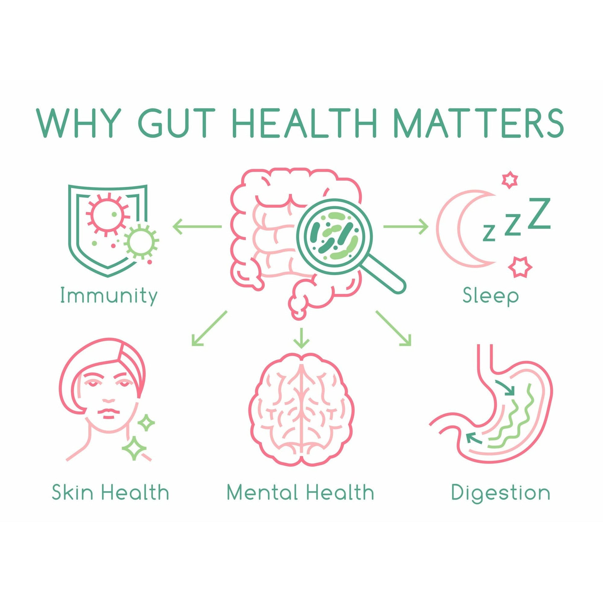 Good Gut Health and Faster Recovery with Fossil Shell Flour, Curcumin, and Electrolyte Powder Dietary Supplement Nutra Nourished good - gut - health - and - faster - recovery
